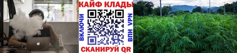 Виды наркоты Ивангород Гашиш  СК  Меф мяу мяу  Бошки Шишки 