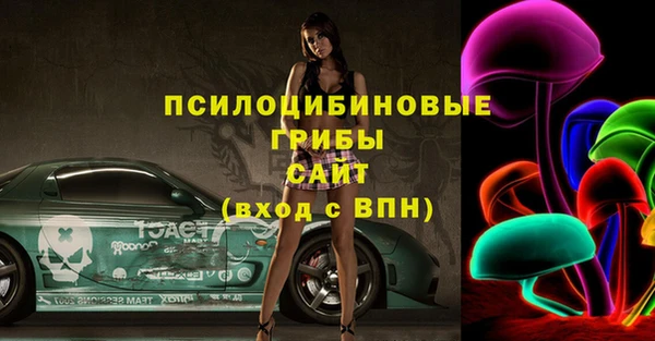 прущие грибы Абдулино