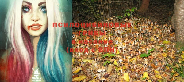 прущие грибы Абдулино