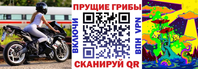 нарко площадка телеграм  Ивангород  Псилоцибиновые грибы прущие грибы  закладка 
